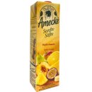 Amecke Sanfte Säfte Multivitamin 100% Frucht 6er Pack (6x1 Liter) + usy Block