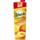 Amecke Sanfte Säfte Multivitamin 100% Frucht 6er Pack (6x1 Liter) + usy Block