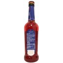 Riemerschmid Riemerol Bitter Barsirup Sirup Bittersirup alkoholfrei 6er Pack (6x0,7 Liter Flasche) + usy Block