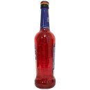 Riemerschmid Riemerol Bitter Barsirup Sirup Bittersirup alkoholfrei 6er Pack (6x0,7 Liter Flasche) + usy Block