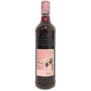 de Kuyper Bessen Genever Schwarze Johannisbeeren 20%vol. 6er Pack (6x0,7 Liter Flasche) + usy Block