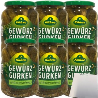Kühne Gewürzgurken Auslese mit Kräutern verfeinert 6er Pack (6x360g Glas) + usy Block