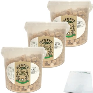 Wester Rohrzuckerwürfel Bruine Riet Suiker Brokjes 3er Pack (3x2kg Eimer) + usy Block