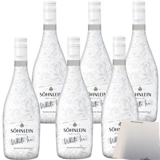 Söhnlein White ICE 8% vol. fruchtig-süß 6er Pack (6x0,75 Liter Flasche) + usy Block