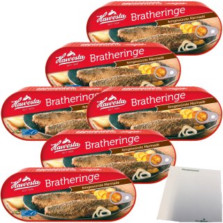 Hawesta Bratheringe in feingewürzter Marinade 6er Pack (6x500g Dose) + usy Block