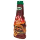 Develey Spicy Burger Sauce 6er Pack (6x250ml Flasche) + usy Block