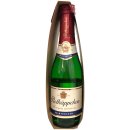 Rotkäppchen Sekt halbtrocken 11% vol. 1er Pack (2x0,2l Flasche) + usy Block