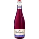 Rotkäppchen Fruchtsecco Pfirsich Mango Granatapfel Blaubeere 8% vol. 1x750ml Flasche je Sorte + usy Block