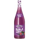 Gerstacker Waldfruchtbowle auf Weinbasis 5% vol. 6er Pack (6x1 Liter Flasche) + usy Block