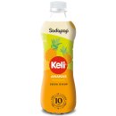 Sodapop Keli Sirup Multipack: Ananas, Himbeer & Maracuja für Wassersprudler (3x500ml Flasche) + usy Block
