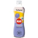 Sodapop Keli Sirup Multipack: Ananas, Himbeer & Maracuja für Wassersprudler (3x500ml Flasche) + usy Block