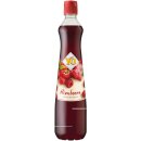 Yo Sirup Himbeere (0,7 l Flasche)