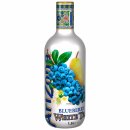 AriZona Blueberry PET (1,5 l)
