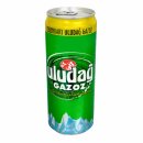 Uludag Gazoz (0,33 l)