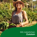 Knorr Fette Brühe (5 l)