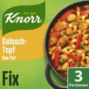 Knorr Fix Gulasch-Topf One Pot (46 g)
