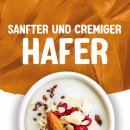 Alpro Hafer & Mandel  (1 l)