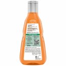 GUHL Shampoo Feuchtigkeitsaufbau Nährend für trockenes und sprödes Haar (250ml Flasche)