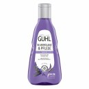 GUHL Shampoo Silberglanz & Pflege  (250 ml)