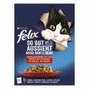 felix So GUT wie es AUSSIEHT Geschmacksvielfalt vom Land in Gelee (12 x 85 g)