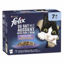 felix So GUT wie es AUSSIEHT Senior Gemischte Vielfalt in...