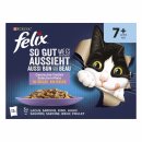 felix So GUT wie es AUSSIEHT Senior Gemischte Vielfalt in...