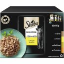 Sheba Delikatesse in Gelee Geflügel Variation (12 x 85 g)