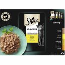 Sheba Delikatesse in Gelee Geflügel Variation (12 x 85 g)