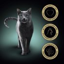 Sheba Finesse Feine Pastete/ Mousse mit Huhn (85 g)