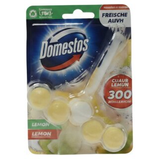 Domestos WC-Stein Power 5 Limette (55 g)