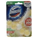 Domestos WC-Stein Power 5 Limette (55 g)