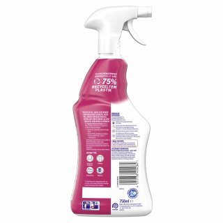 Sagrotan Allzweck Reiniger Blütenfrische & Grüner Apfel 2in1 (750 ml)