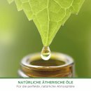 Airwick FM Max Starter-Set Sommervergnügen (250 ml)