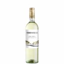 Terre Del Noce Pinot Grigio IGT (0,75l Flasche)