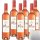 Freixenet Mia Rosado halbtrocken Rosewein 11,5% vol. 6er Pack (6x0,75 Liter Flasche) + usy Block
