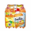 hella ACE (6x0,75 l) VPE