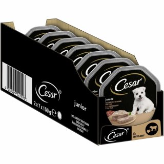 Cesar Schale Junior mit zartem Truthahn und Kalb (14x150g) VPE