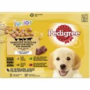 Pedigree MP Junior (4x12 x 100 g) VPE