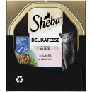 Sheba Delikatesse in Gelee Geschnetzeltes mit Lachs (MSC) (22x85 g) VPE