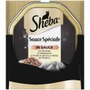 Sheba Sauce Speciale mit Hühnchen in...