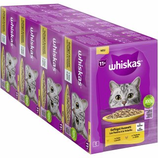 whiskas 11+ Geflügel Auswahl in Gelee (4x12 x 85 g) VPE