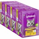 whiskas 11+ Geflügel Auswahl in Gelee (4x12 x 85 g) VPE
