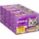whiskas 11+ Geflügel Auswahl in Gelee (4x12 x 85 g) VPE