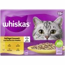 whiskas 11+ Geflügel Auswahl in Gelee (4x12 x 85 g) VPE