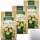 Maretti Bruschette Pesto Brotchips 3er Pack (3x150g Packung) + usy Block