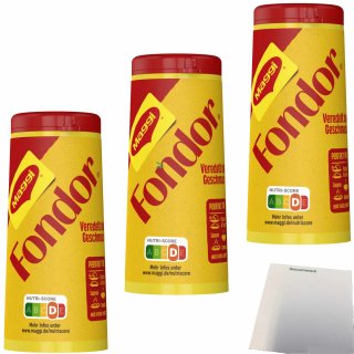 Maggi Fondor Feinwürzmittel Streuer 3er Pack (3x100g) + usy Block