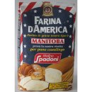 Manitoba Farina DAmerica (1kg Beutel)