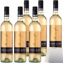 Scavi&Ray Alla Vaniglia 10% Vol. Weißwein mit edlem Vanillearoma 6er Pack (6x0,75l Flasche) + usy Block