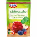 Dr. Oetker Gelierzucker mit Süßungsmittel aus Stevia 6er Pack (6x350g Packung) + usy Block