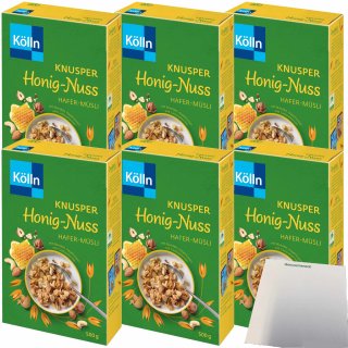 Kölln Knusper Honig Nuss Hafer-Müsli 6er Pack (6x500g Packung) + usy Block